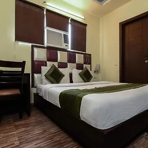 Olive ** Delhi (National Capital Territory of India)